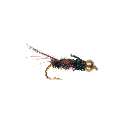 Bead Head Anatomic Peacock Nymph Fly