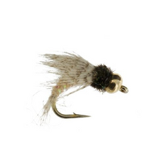 Bead Head Bird of Prey in Cream