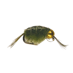 Bead Head Scud in olive