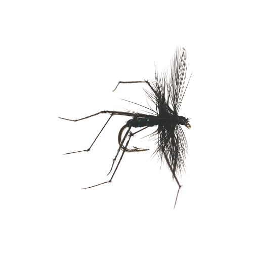 Black Daddy Long Legs Dry Fly