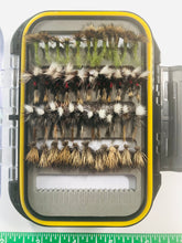 Set of 48 Dry Flies with Waterproof Fly Box - Fly Fishing Charlotte