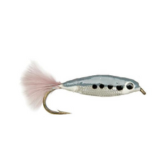 Minnow Streamer - Fly Fishing Charlotte