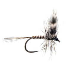Mosquito Dry Fly