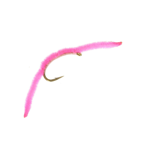 San Juan Worm in Pink