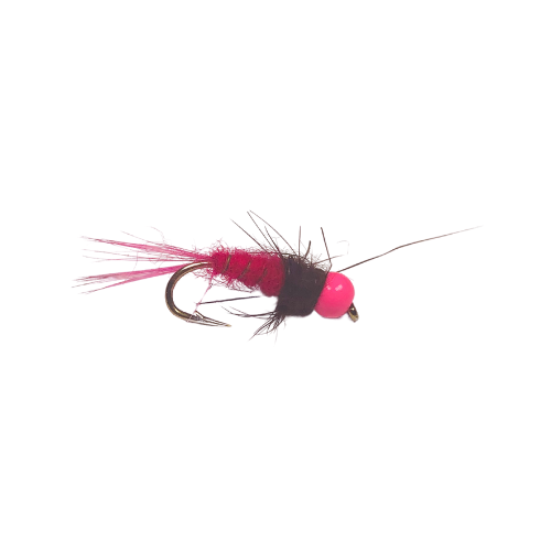 Anatomic Tungsten Pink Head - Fly Fishing Charlotte