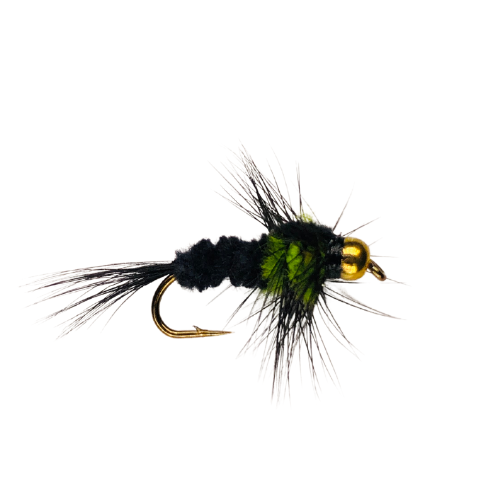 Set of 9 Bead Head Montana - Fly Fishing Charlotte
