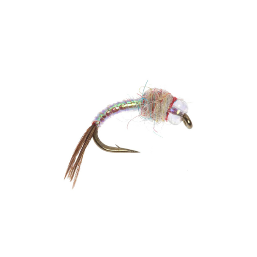 Set of 24 Bead Rainbow Warrior Nymph Flies