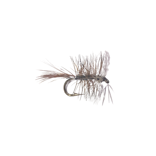 Bivisible - Fly Fishing Charlotte