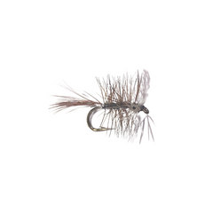 Bivisible - Fly Fishing Charlotte