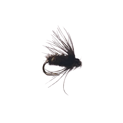Black and Peacock - Fly Fishing Charlotte