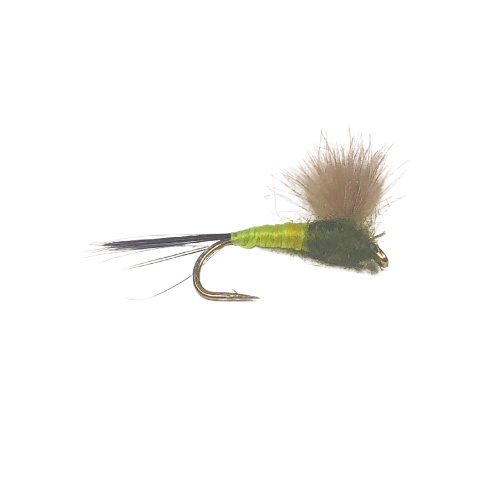 CDC Emerger Tulips - Fly Fishing Charlotte
