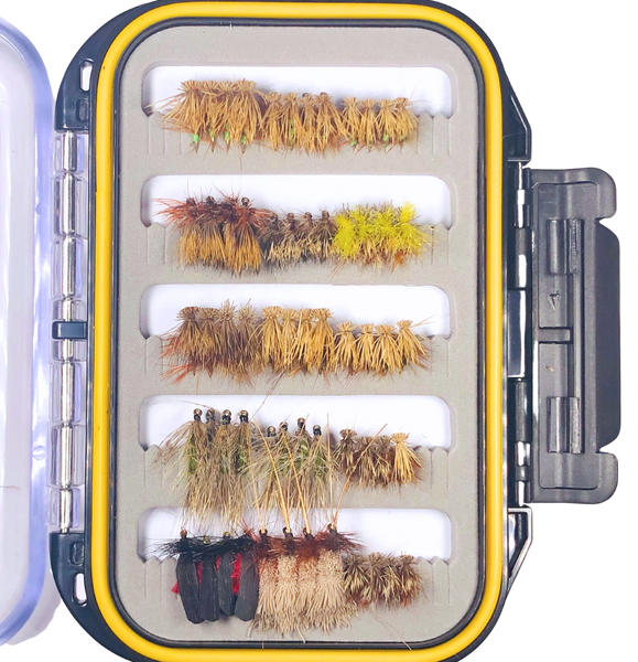 60 Elk Hair Caddis/Caddis Collection with Waterproof Fly Box for Fly Fishing Fly Fishing Charlotte