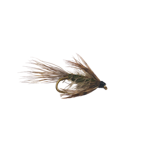 Caddis - Fly Fishing Charlotte