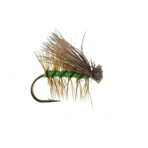 Set of 12 Bright Green Elk Hair Caddis - Fly Fishing Charlotte