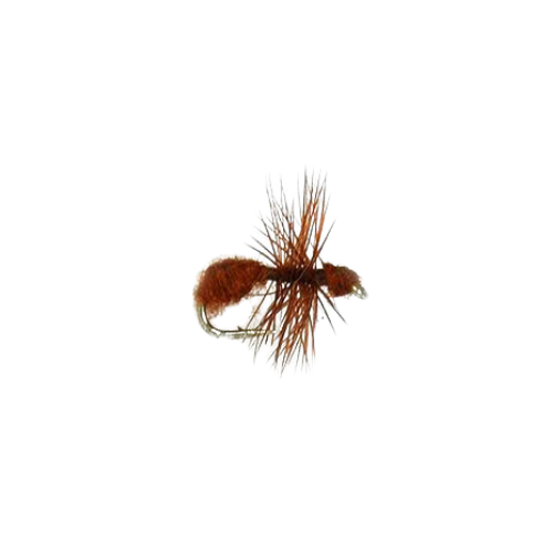 Set of 24 Fur Ant Dry Fly - Fly Fishing Charlotte
