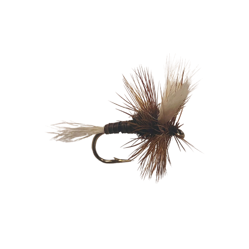 Set of 24 H & L Variant Dry Fly - Fly Fishing Charlotte
