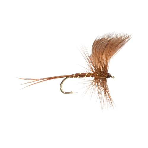 Mayfly Brown Drake - Fly Fishing Charlotte