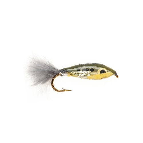 Minnow Streamer – Fly Fishing Charlotte