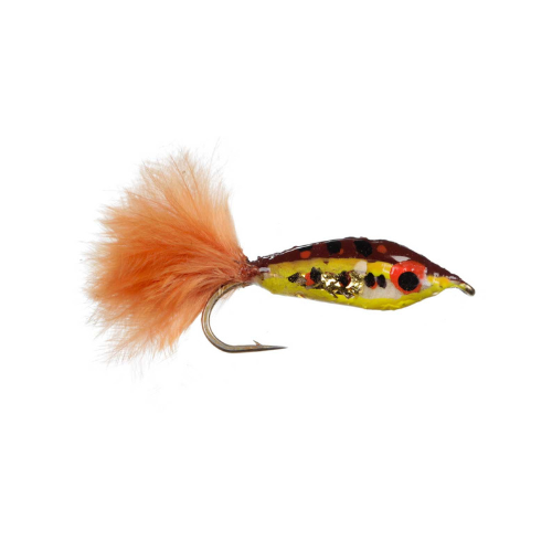 Minnow Streamer - Fly Fishing Charlotte