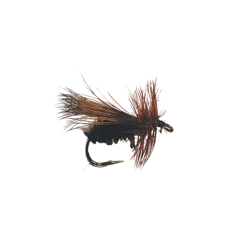 Peacock Caddis - Fly Fishing Charlotte