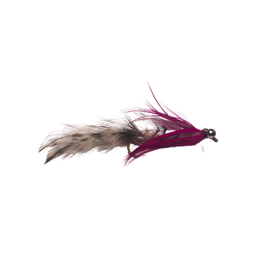 Polar Magnus - Fly Fishing Charlotte