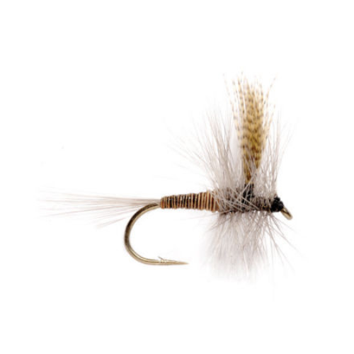 Red Quill - Fly Fishing Charlotte