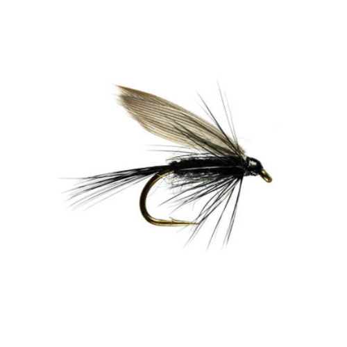 Tassie Dun - Fly Fishing Charlotte