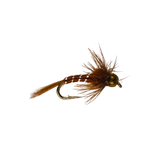 Bead Head Nymph in Brown