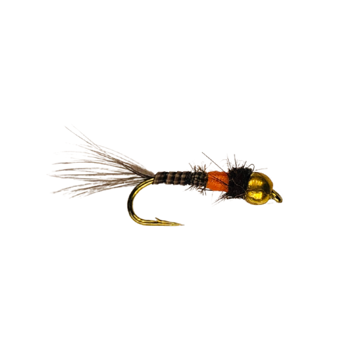 Bead Head Quill Gordon Nymph - Fly Fishing Charlotte