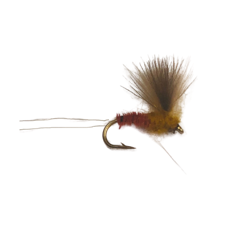 CDC Biot Comparadun Red Quill Dry Fly