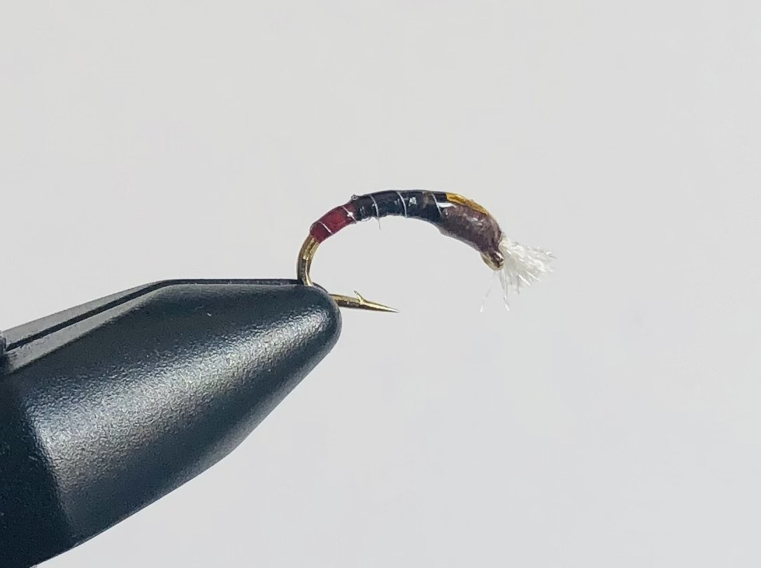 Chironomid Buzzer in Brown