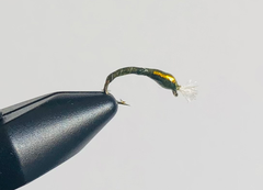 Chironomid Buzzer in Olive