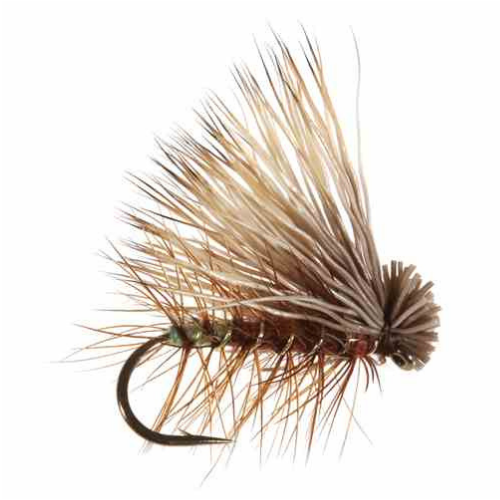 Set of 48 Dry Flies with Waterproof Fly Box - Fly Fishing Charlotte