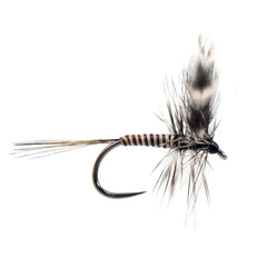 Mosquito Dry Fly - Fly Fishing Charlotte