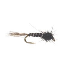 Mosquito Nymph - Fly Fishing Charlotte