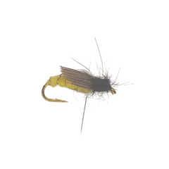 Pupa Amber Nymph