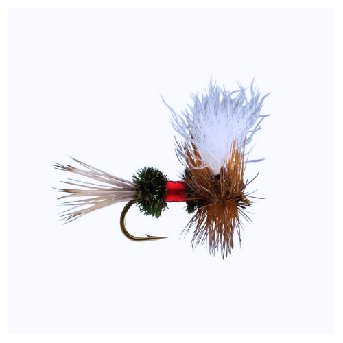 Large Dry Fly Kit - Fly Fishing Charlotte