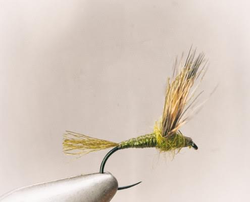 Large Dry Fly Kit - Fly Fishing Charlotte